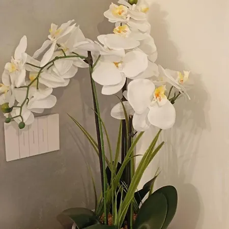 Apartment Casa Brumani Como