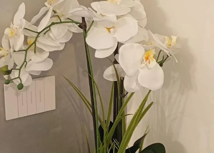 Lägenhet Casa Brumani Como