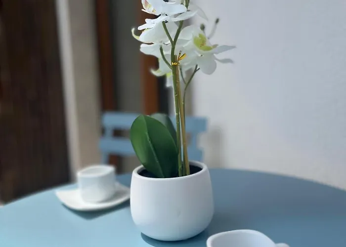 Casa Brumani Lägenhet *