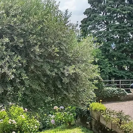 Casa Brumani كومو